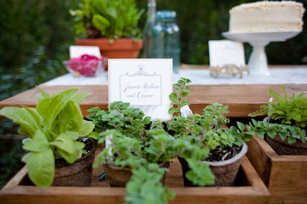 rustic-herb-wedding-ideas