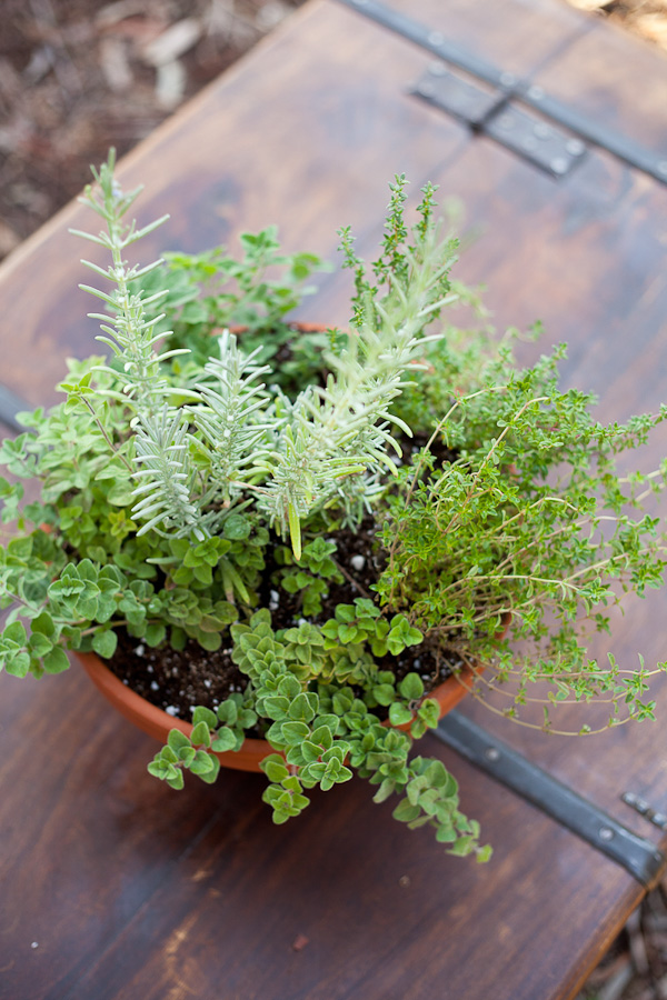 rustic-herb-wedding-ideas