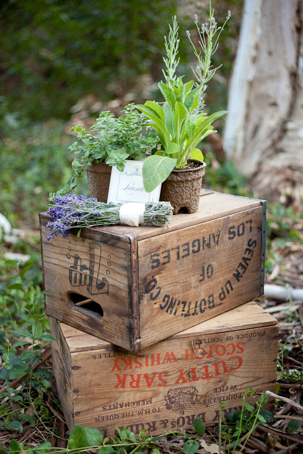 rustic-herb-wedding-ideas