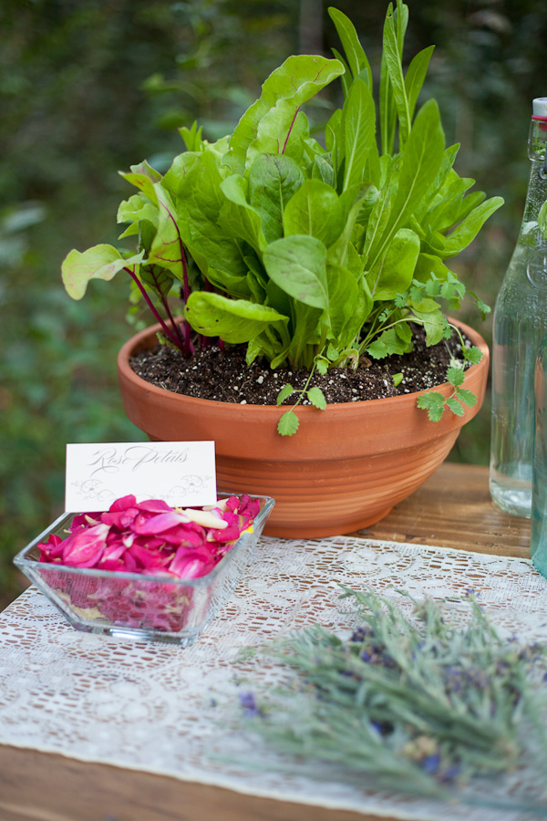 rustic-herb-wedding-ideas