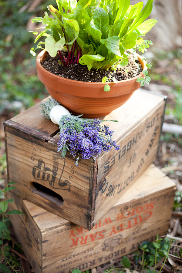 rustic-herb-wedding-ideas