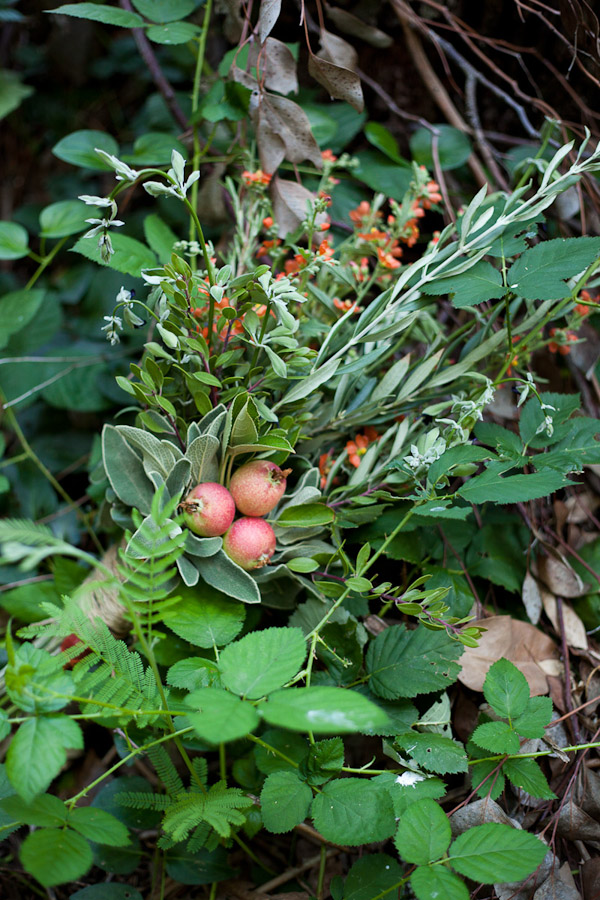rustic-herb-wedding-ideas