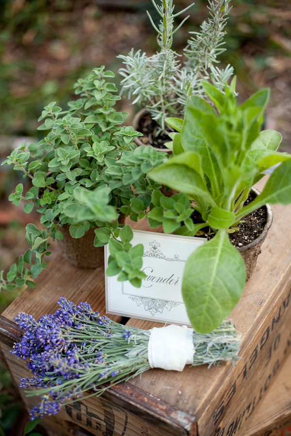rustic-herb-wedding-ideas
