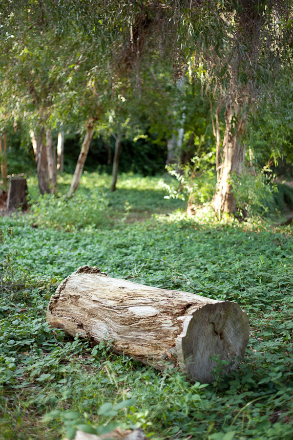 rustic-herb-wedding-ideas