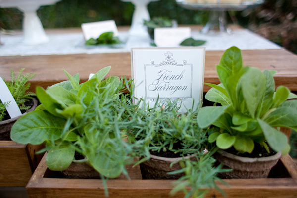 rustic-herb-wedding-ideas