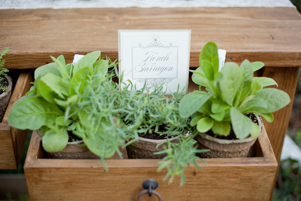 rustic-herb-wedding-ideas