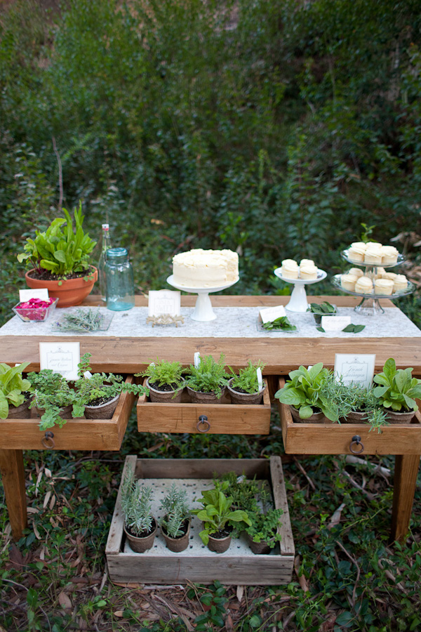 rustic-herb-wedding-ideas