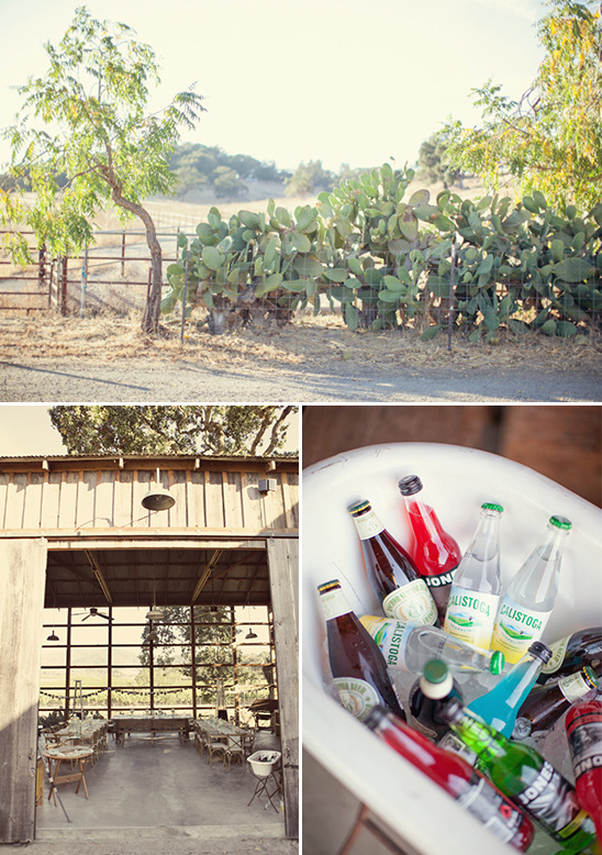 Rustic wedding venue with cactus, drinks, and an open space