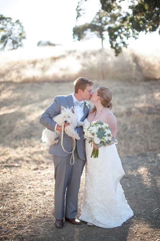 Couple kissing at wedding with their dog in the sunshine