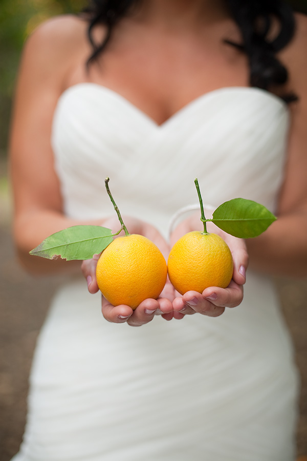 vintage-country-fair-wedding