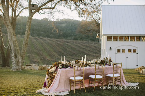 Win a wedding package from Danielle Capito Photography and Davia Lee Events!