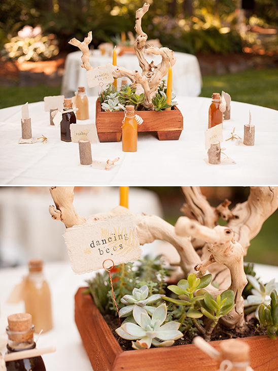 Rustic centerpiece: succulents, driftwood, honey favors