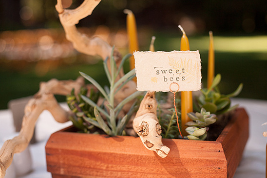 Wooden planter with succulents and sweet bees sign