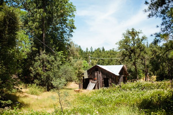 enchanting-backyard-teepee-wedding