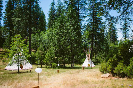 Teepees in a sun-dappled forest, a serene and picturesque scene