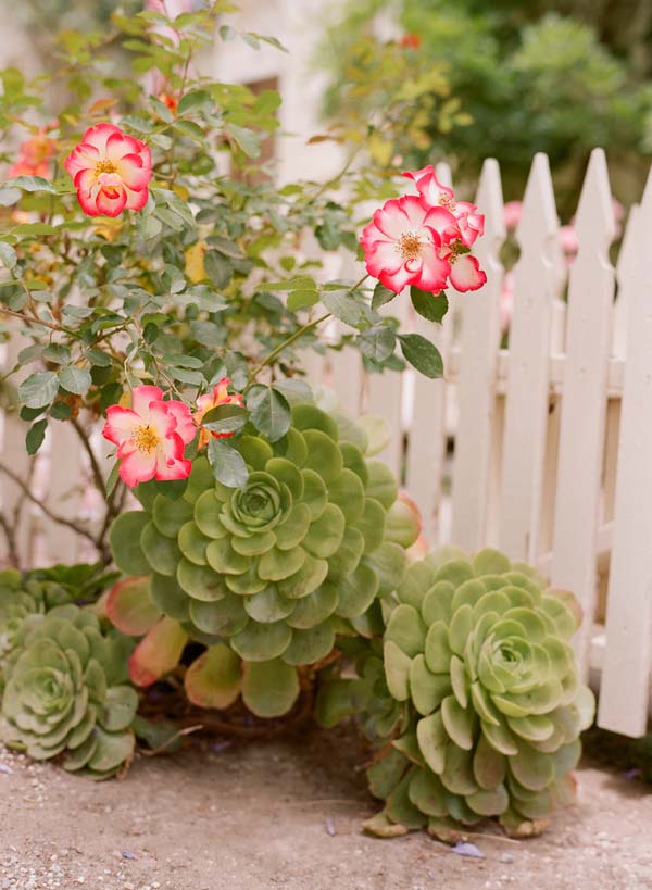mccormick-home-ranch-vintage-wedding