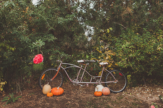 A tandem bicycle with pumpkins in an autumn garden scene