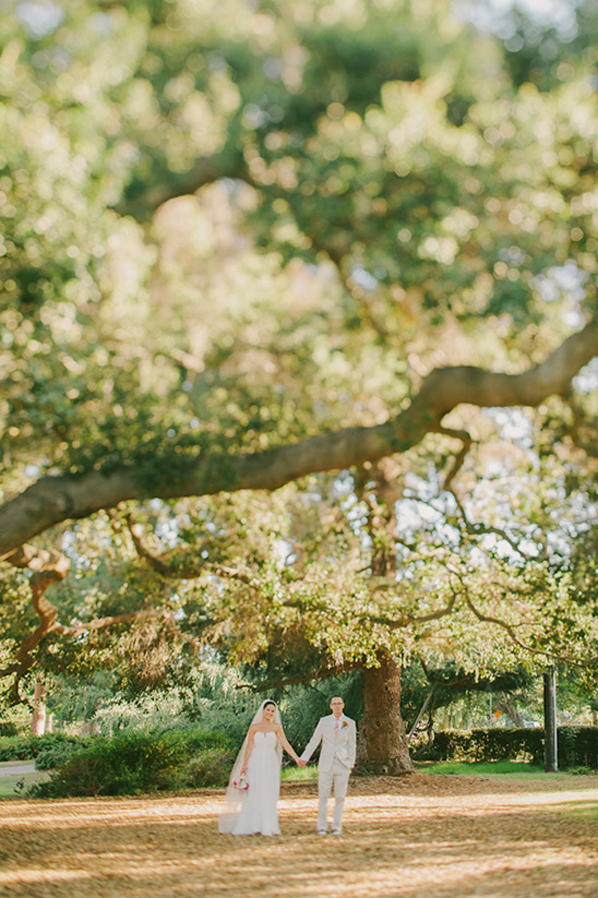 Bride and groom holding hands under a grand tree on their wedding day