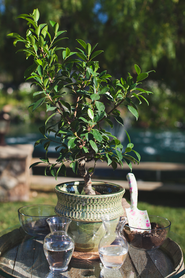 romantic-eco-chic-wedding