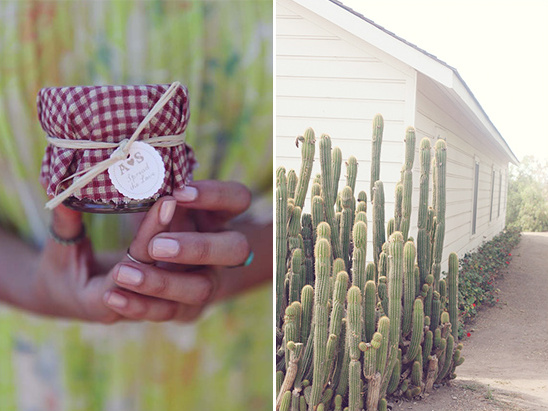 Jar of jam and cactus garden with a white building