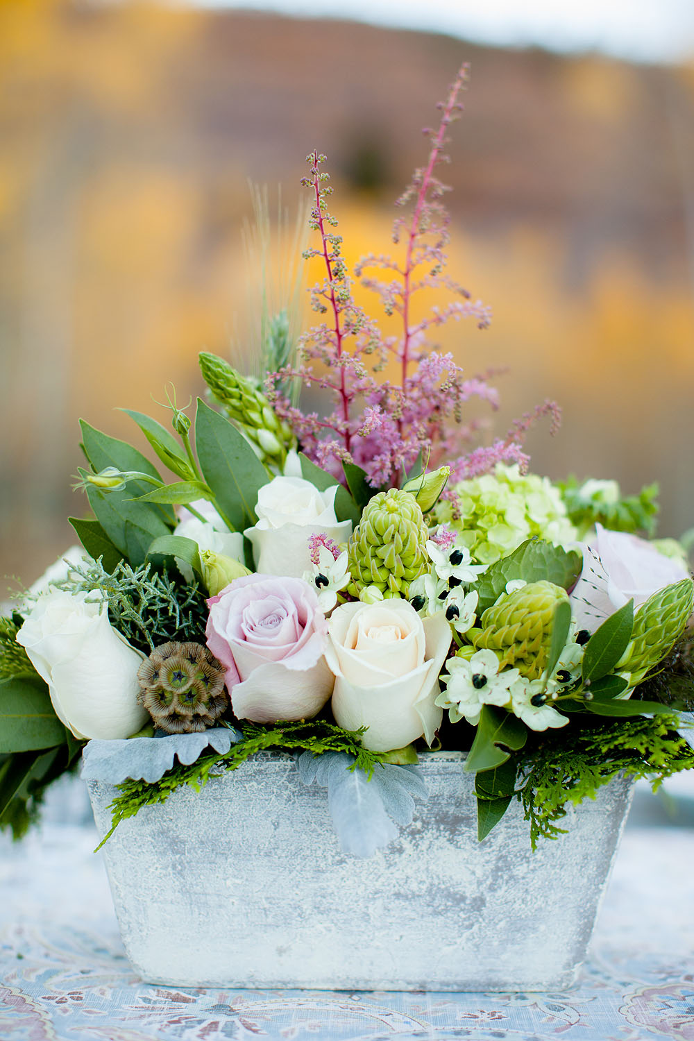 silver-moose-ranch-a-utah-wedding-venue