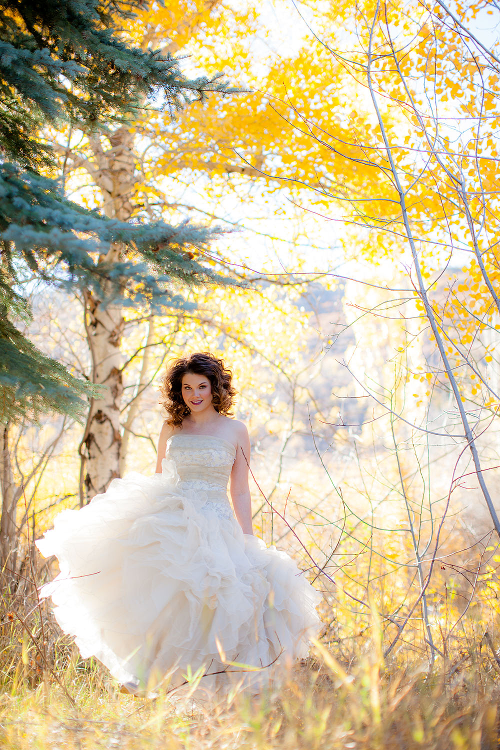 silver-moose-ranch-a-utah-wedding-venue