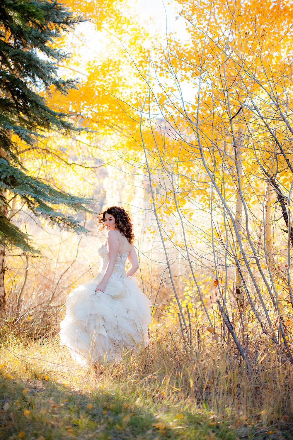 silver-moose-ranch-a-utah-wedding-venue