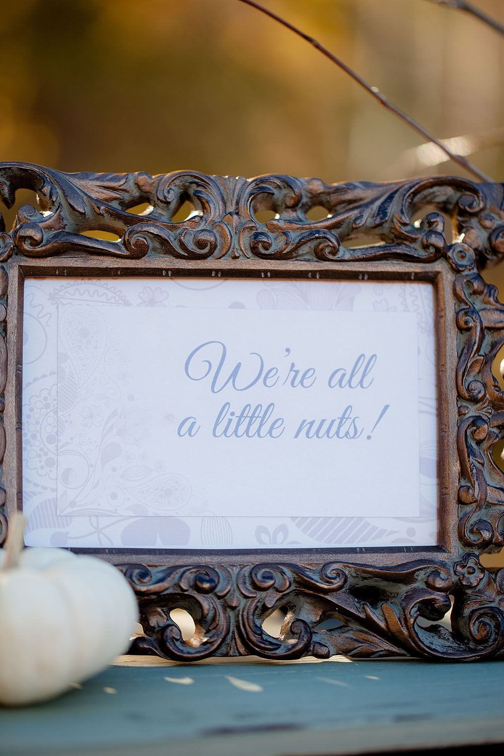 silver-moose-ranch-a-utah-wedding-venue