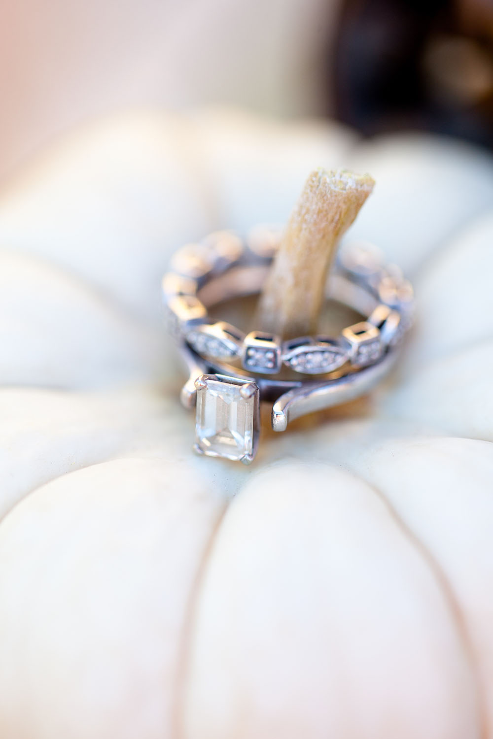 silver-moose-ranch-a-utah-wedding-venue