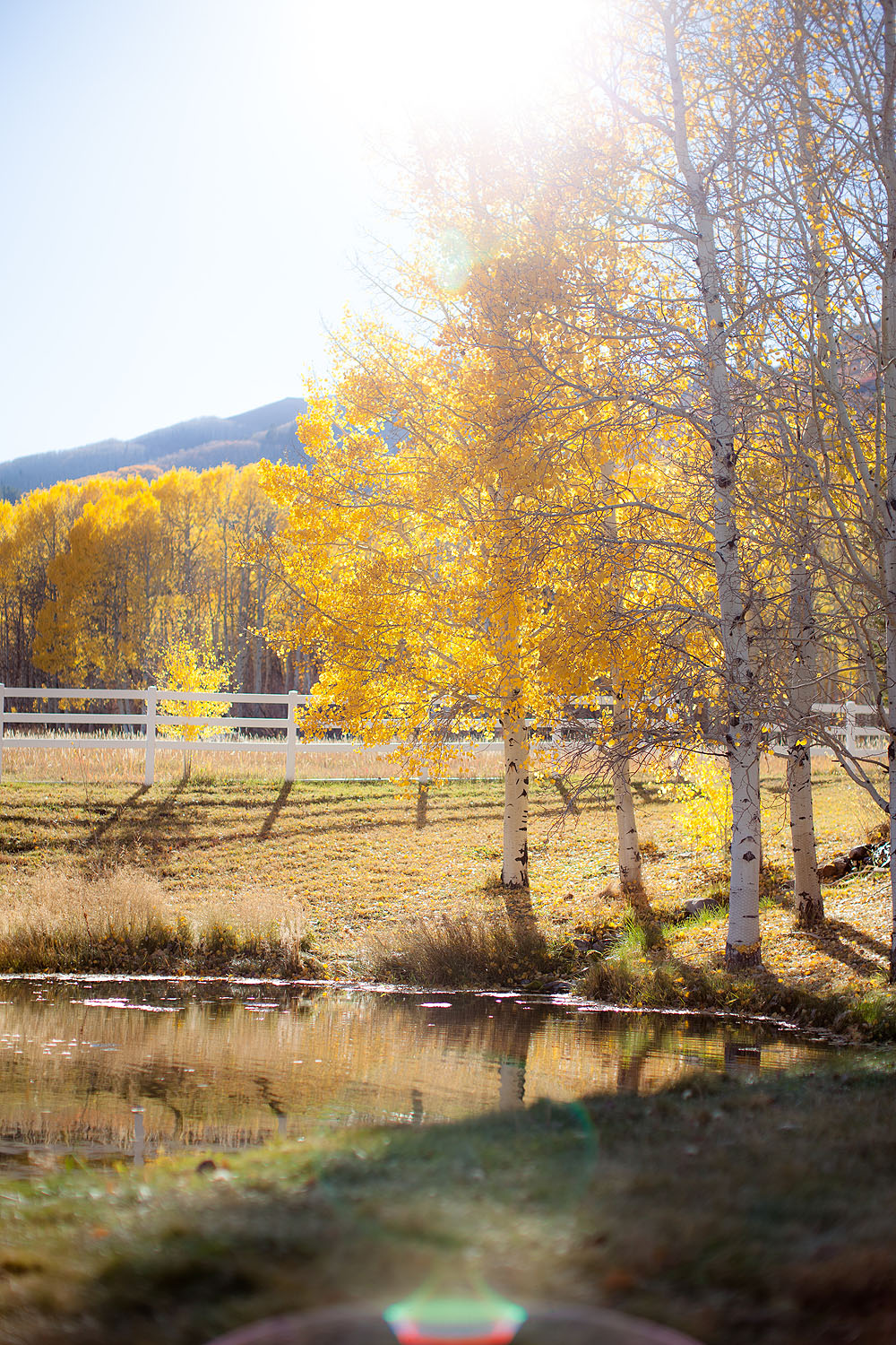 silver-moose-ranch-a-utah-wedding-venue