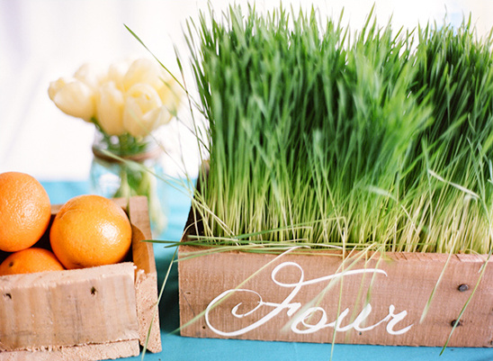 Fresh oranges, flowers and grass centerpiece decoration