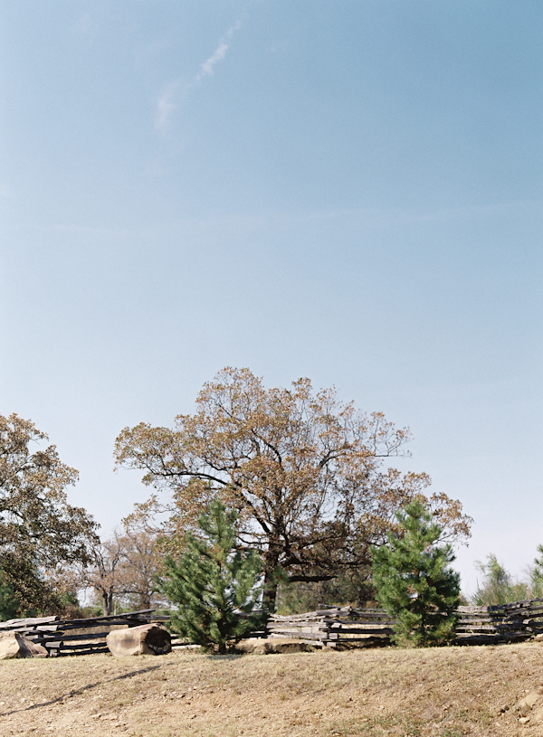 no-fuss-semi-traditional-wedding