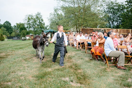 ring bearer walking down the aisle with donkey