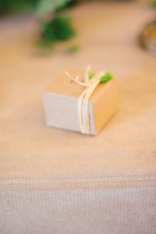 peach-wedding-at-the-old-homestead