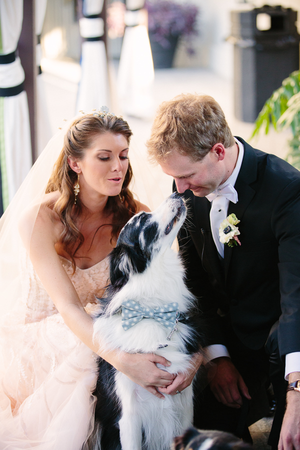 posh-pink-and-black-wedding-at-the