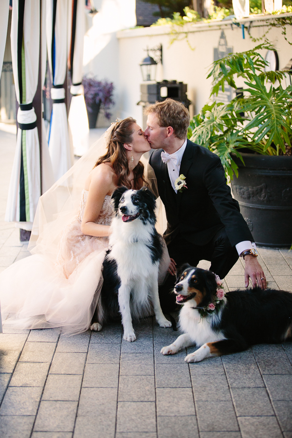 posh-pink-and-black-wedding-at-the