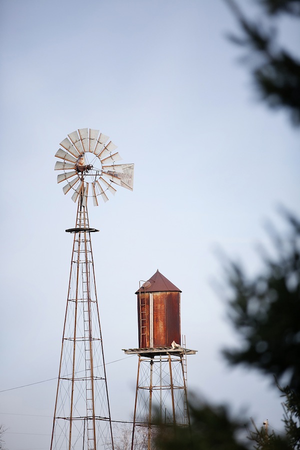 rustic-autumn-wedding-in-minnesota