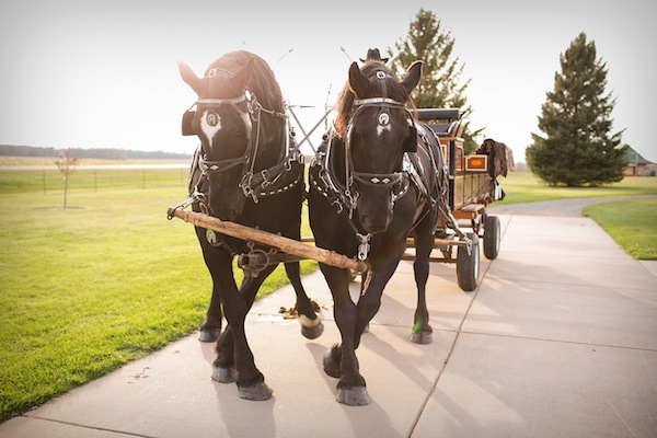 rustic-autumn-wedding-in-minnesota