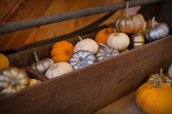 rustic-autumn-wedding-in-minnesota