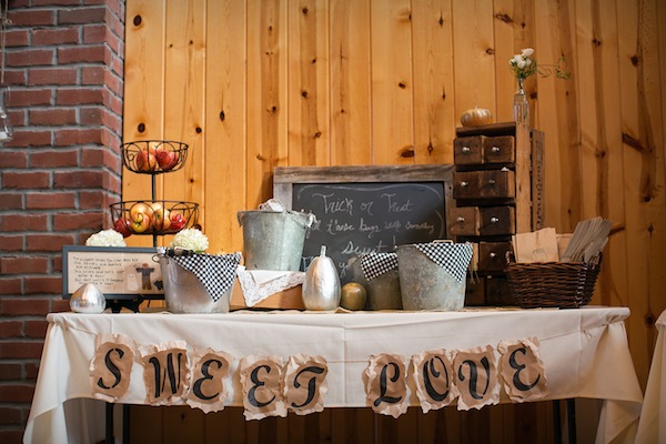 rustic-autumn-wedding-in-minnesota