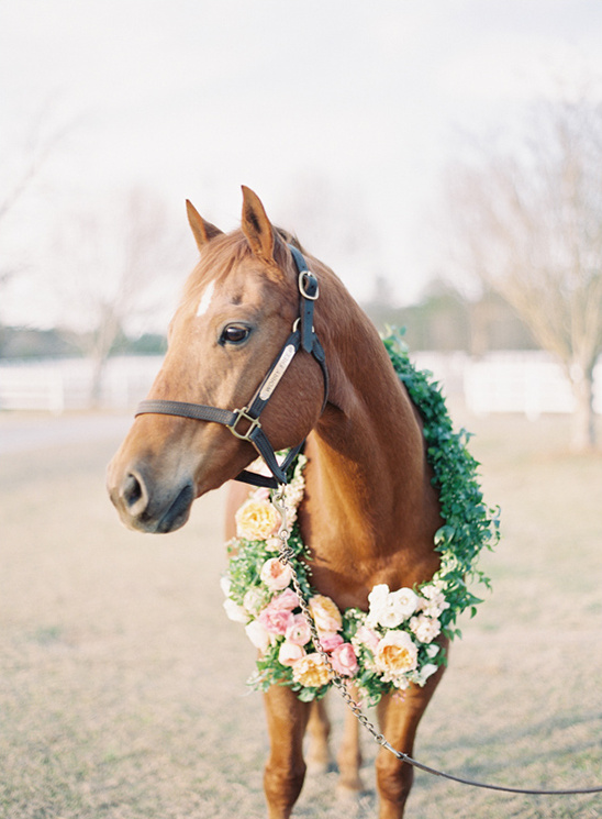 horse wreath