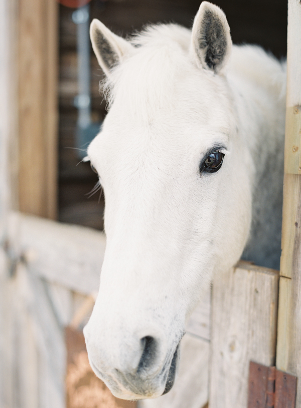 soft-and-romantic-kentucky-derby