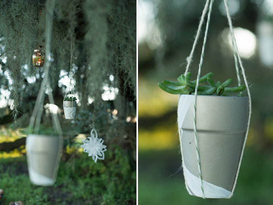 hang potted succulents