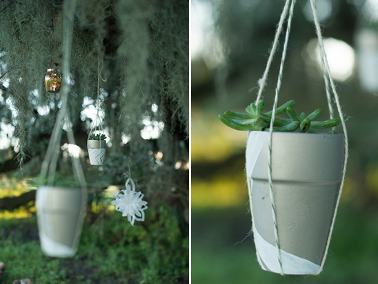Hanging planters with succulents decorate a tree in an outdoor setting