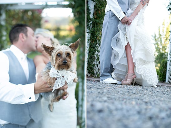 bring your dog to a wedding