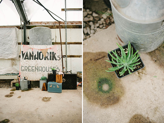Van Joriks Greenhouses vintage decor and potted plant