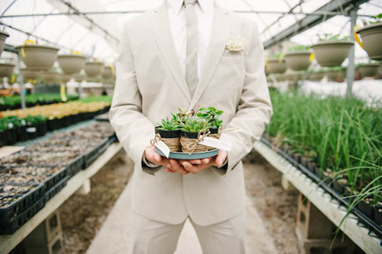 Groom holds succulent favors in greenhouse wedding