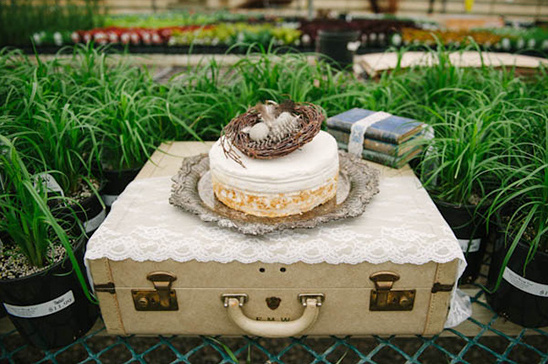 Cake with bird nest decor atop vintage suitcase backdrop