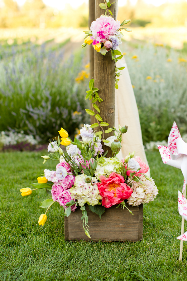 vintage-vineyard-wedding-ideas