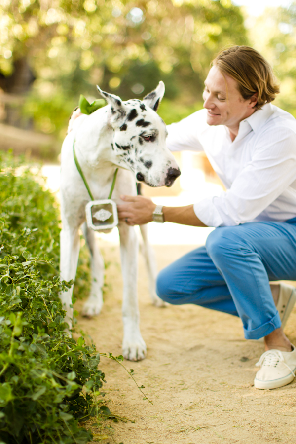 vintage-vineyard-wedding-ideas
